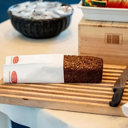 宾馆 斯托科罗维森贝耶格酒店 3*